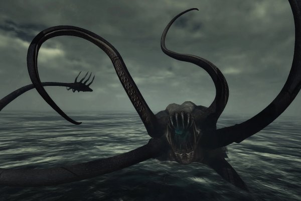 Kraken dark net