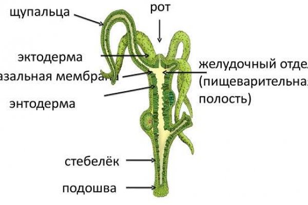 Кракен дарк