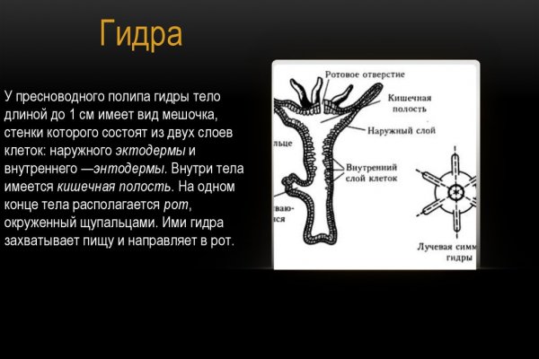 Как выводить деньги с кракена