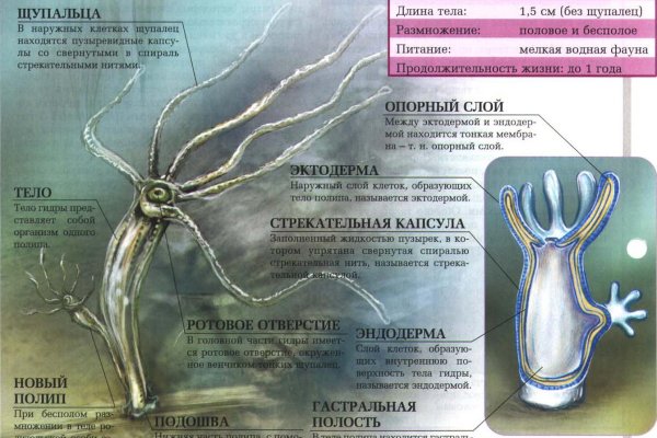 Ссылка кракена kraken clear com