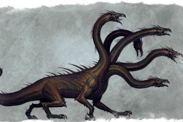 Kraken 6 at