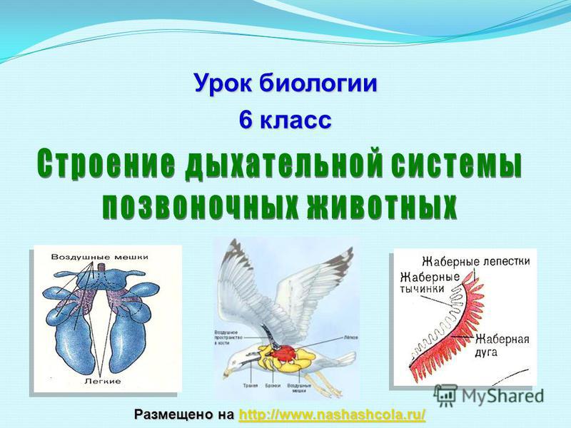 Пользователь не найден при входе на кракен
